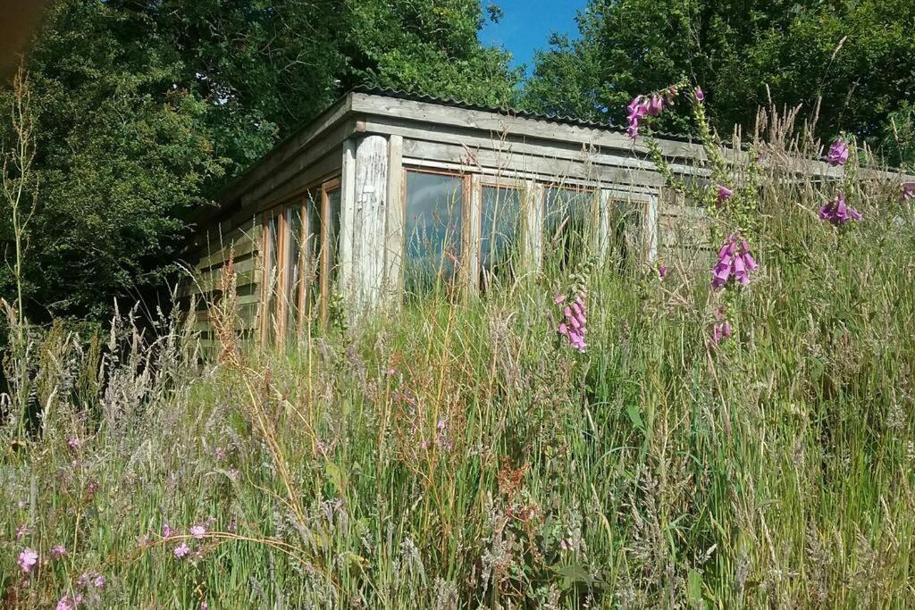 Foxesden, Unique Eco Cabin, Dartmoor Views South Brent Экстерьер фото