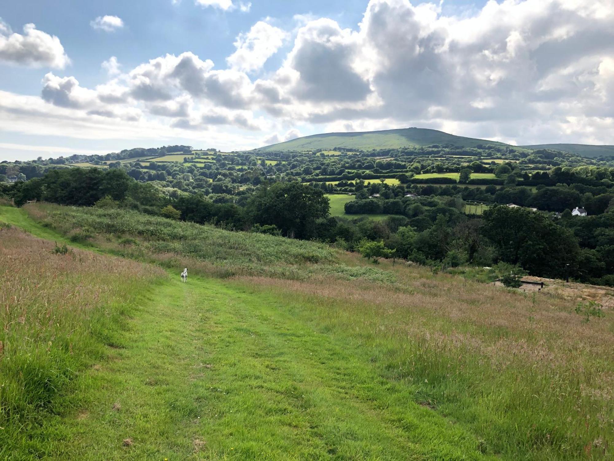 Foxesden, Unique Eco Cabin, Dartmoor Views South Brent Экстерьер фото