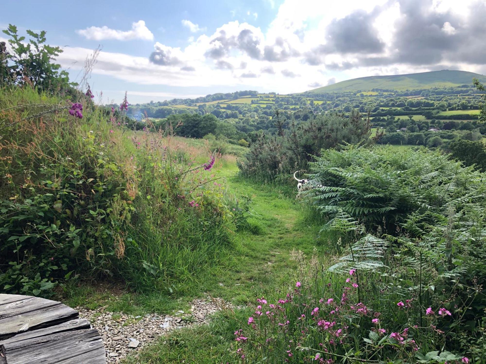 Foxesden, Unique Eco Cabin, Dartmoor Views South Brent Экстерьер фото